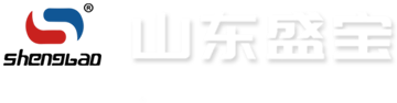 Shandong Shengbao Pipeline Technology Co., Ltd.
