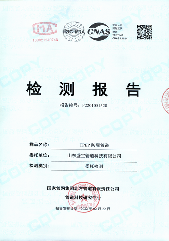 test report